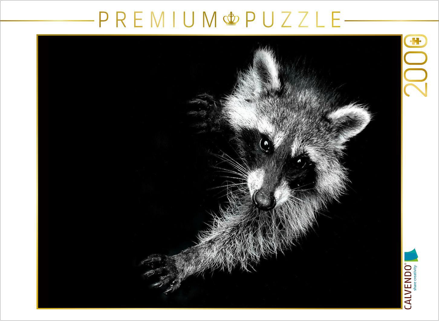 CALVENDO Puzzle Durch seine Beliebtheit verliert der Waschbär auch die Scheu vor den Menschen. 2000 Teile Puzzle quer | 2000 Teile Lege-Größe 90x67cm Foto-Puzzle für glückliche Stunden