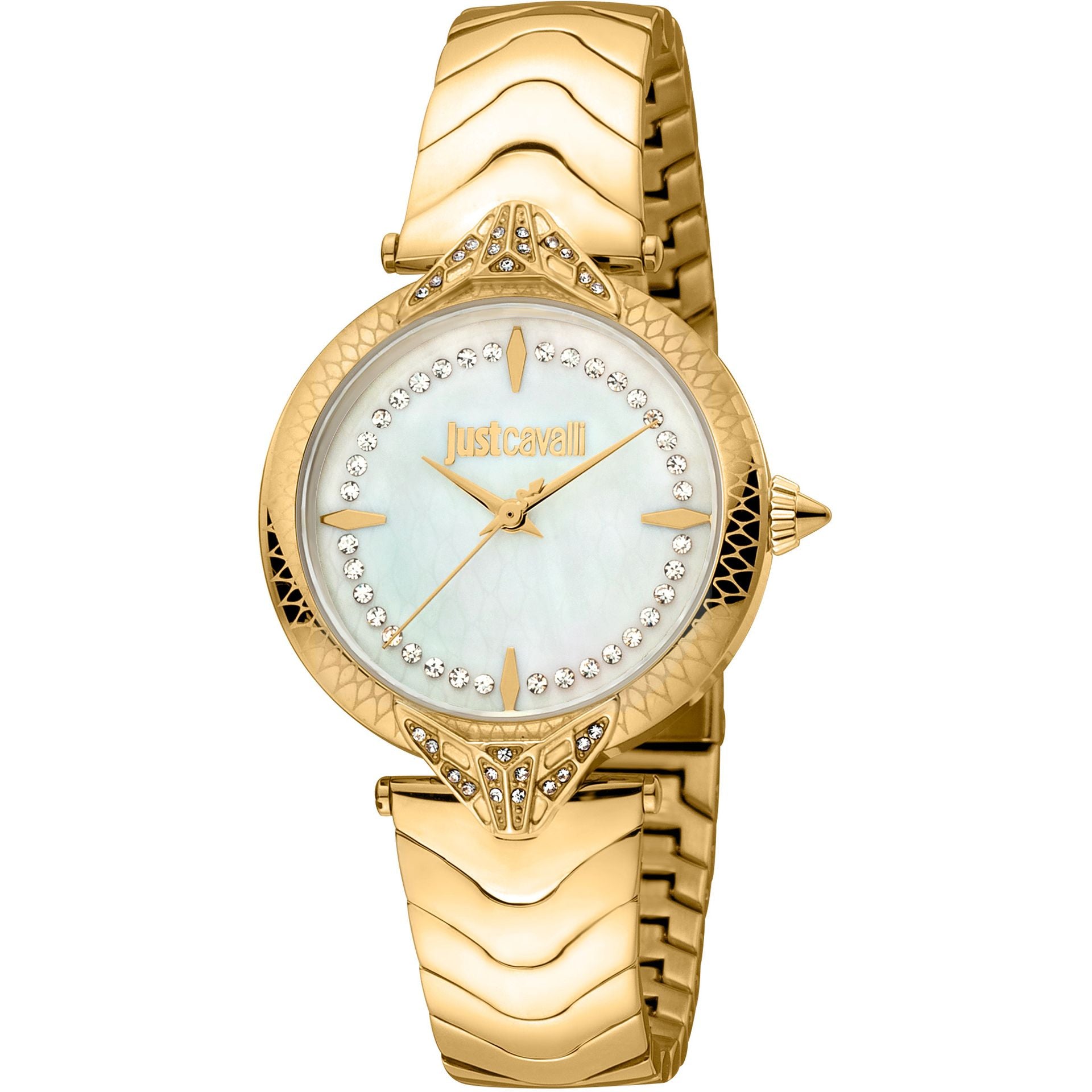 Just Cavalli Hodinky Žena JC1L238M0065