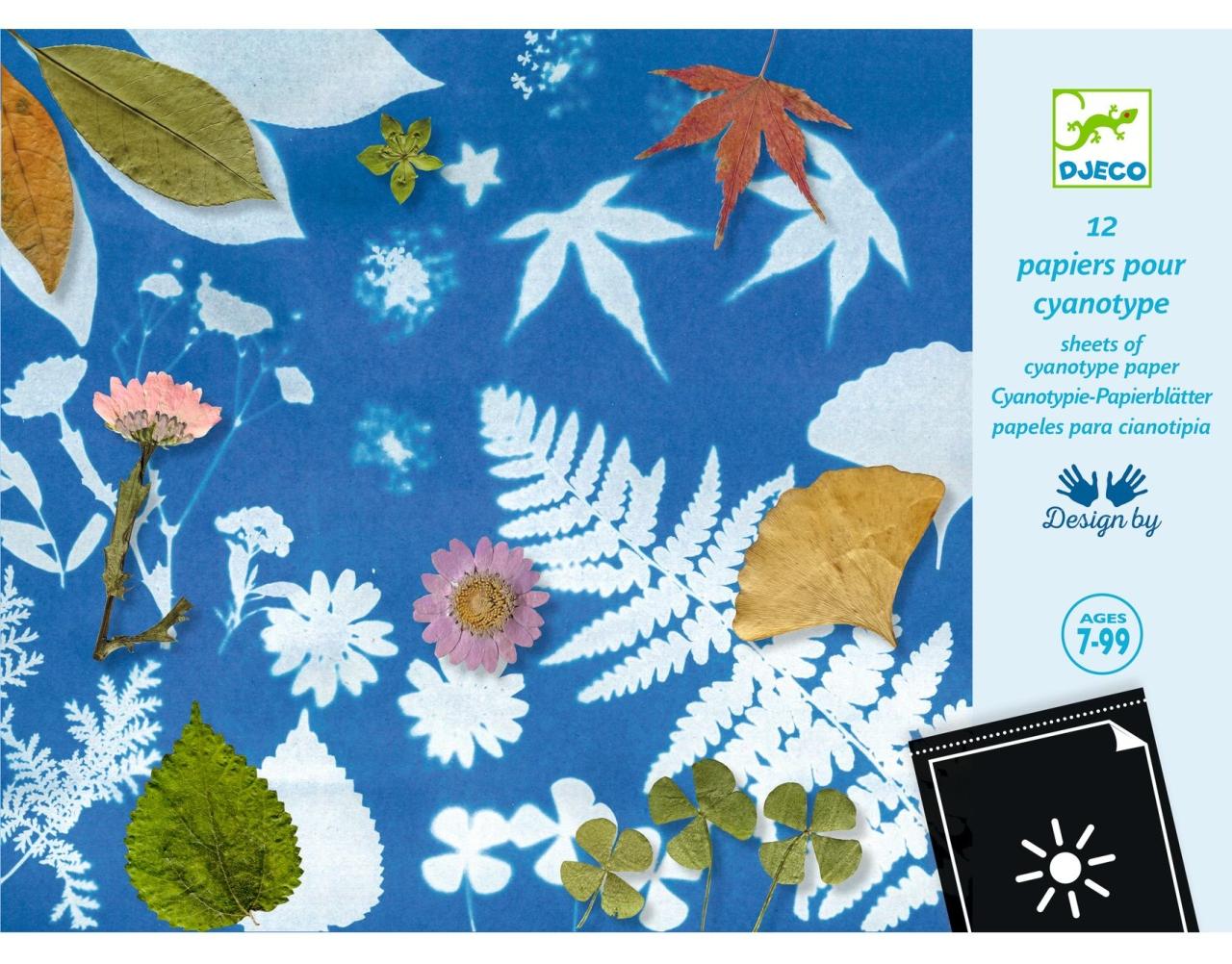 DJECO Set mit 12 lichtempfindlichen Papieren