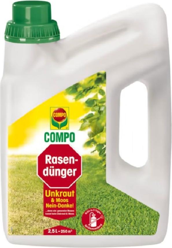 linsen saatgut landwirtschaft Rote Linsen Bio-Keimsaat – Keimgrün main image 0