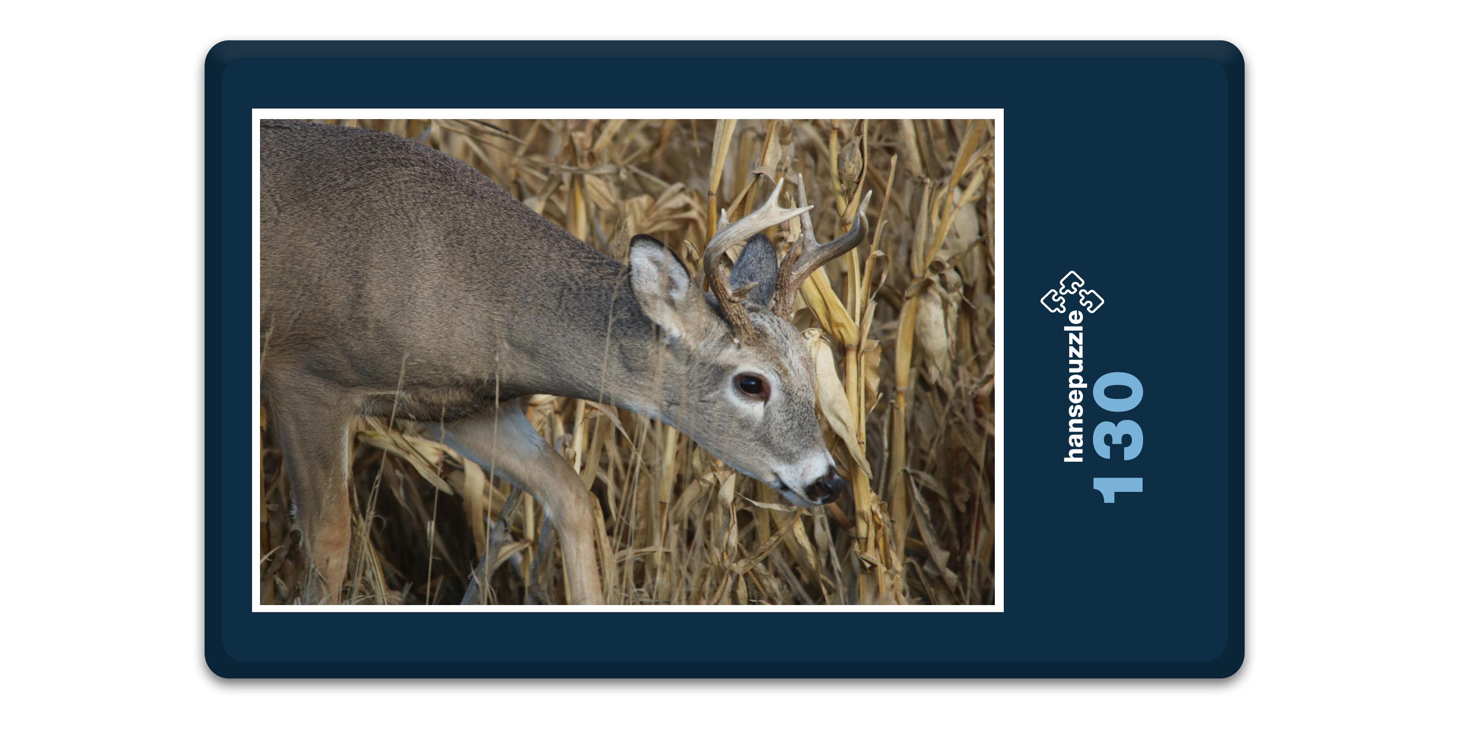 hansepuzzle 19760 - Reh im Maisfeld Puzzle, 130 Teile, Tierwelt, 28,7 x 20,0cm mit hochwertiger Aufbewahrung, Kartonbox & Beutel