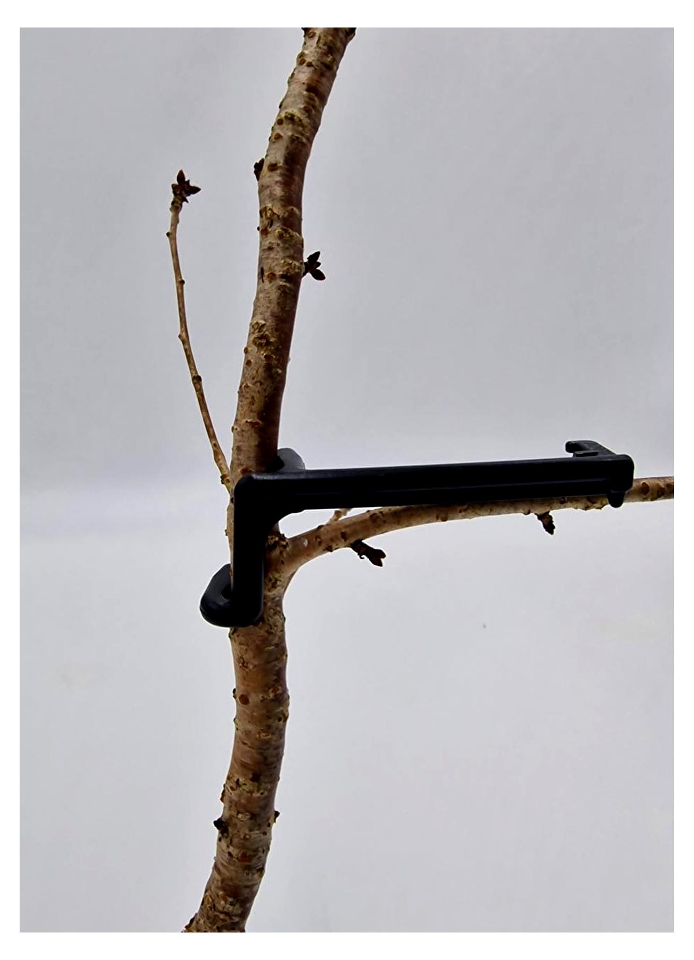 Markenlos Astklammern Astspreizer für Obstbäume und Spaliergehölze, 9 cm, 15 Stück