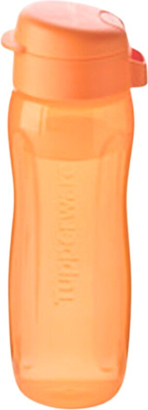 0,5-Liter-Trinkflasche – Öko-Flasche – Tupperware
