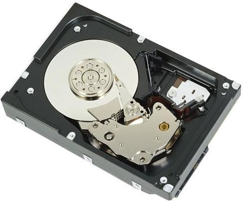Dell 529FG - 3.5 Zoll - 4000 GB - 7200 RPM