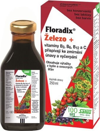 SALUS HAUS Kruterblutsaft Florabio 250 ml 2592674-LKN