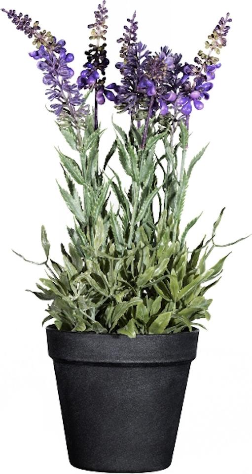 Knstlicher Lavendel im Topf H. 33cm grn lila GASPER