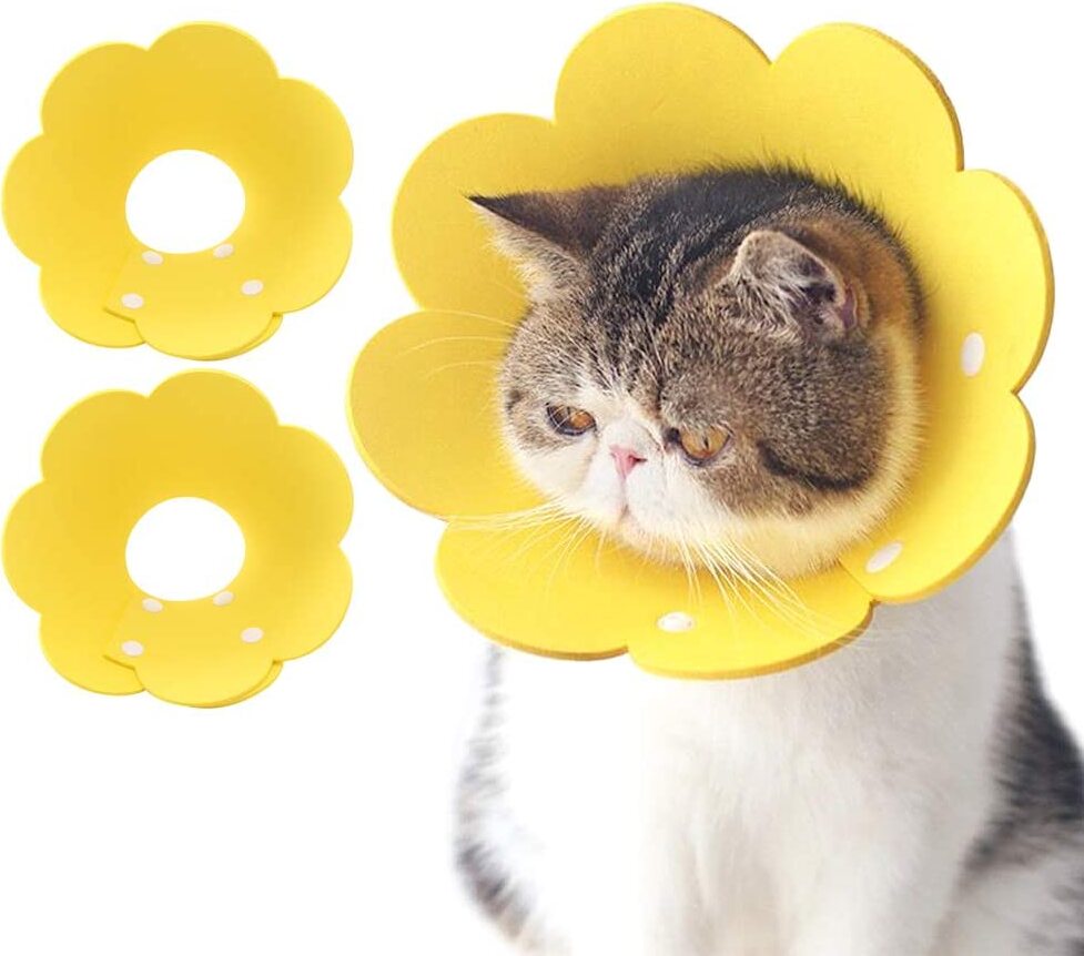 DOKRIN Halskrause Für Hunde - Weiches Schutzhalsband Nach Operationen