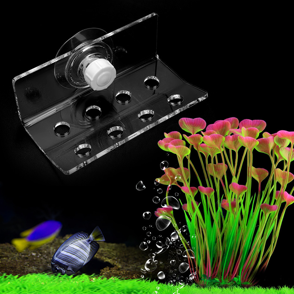 Cocosity Cuque Verrckter Korallenregal, Korallenhalterung, Aquarium Korallenregal, Haushalt Fsih Laden fr Fischbeh?lter Aquarium(8 Holes)