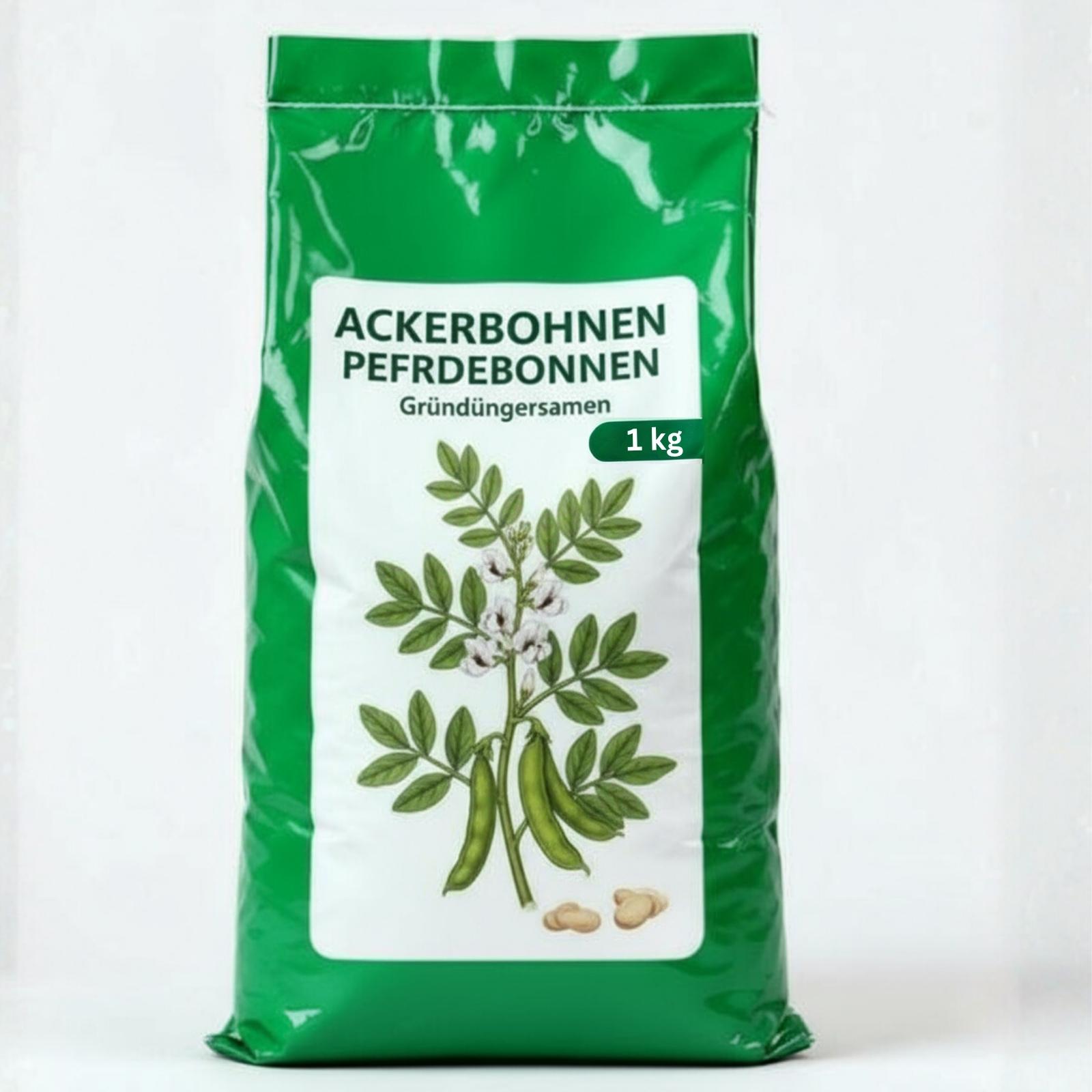 Samenshop24 Bestellartikel Ackerbohnen Pferdebohnen Vicia faba, Inhalt: 1kg für ca. 50m², nicht winterharte Gründüngerpflanzen, Tief wurzelnd und stickstoffbindend 44535