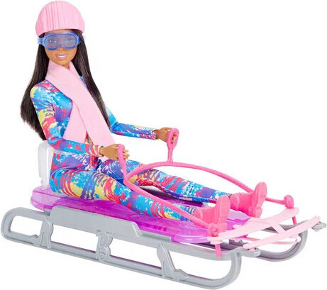Barbie Schlitten Wintersport - Barbie-Puppe HGM74