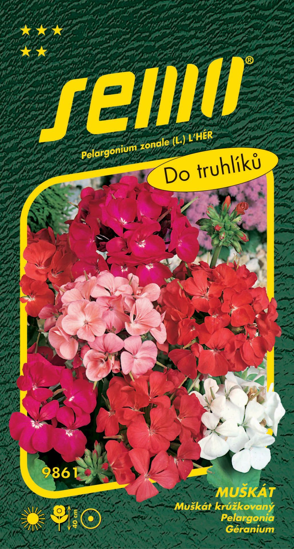 Semo Pelargonien-Samen - Mix 11s