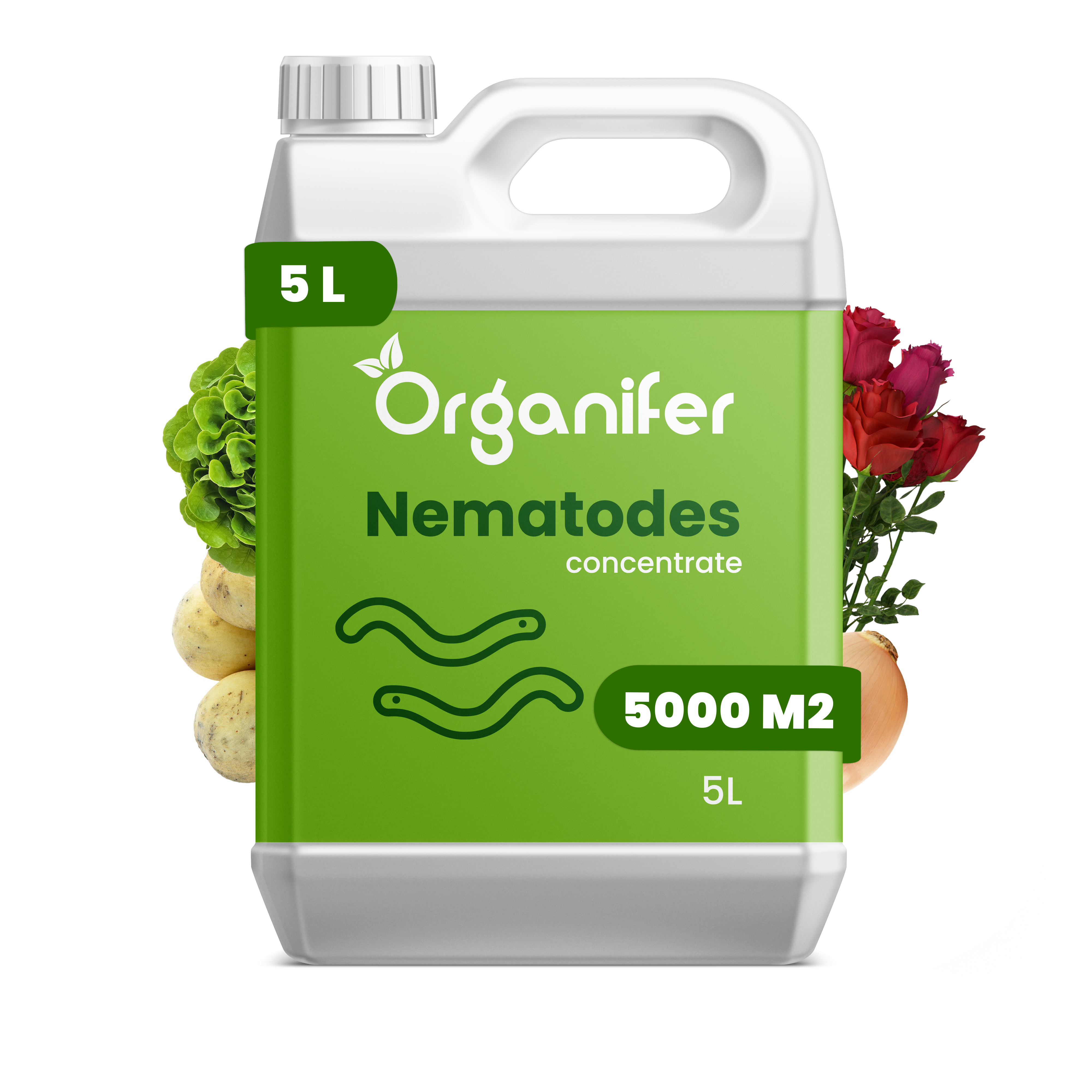 Nematoden - Fadenwürmer-Konzentrat - 5 l für 5000 m2- Organifer 27605