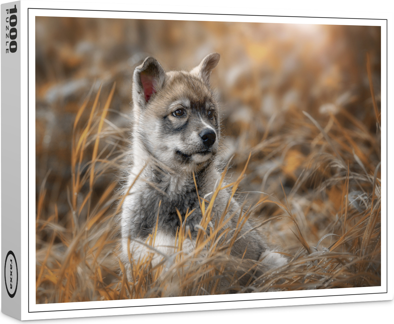 raxxa Premium-Puzzle "Siberian Husky", 1000 Teile 1-14270-916-13
