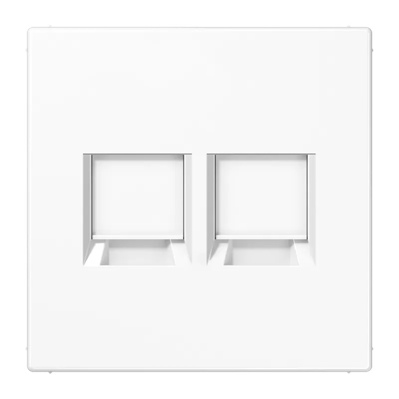 Jung Abdeckung 2-fach f.MJ WE AMP, Radiall LS1969-2WEWW (LS1969-2WEWW)