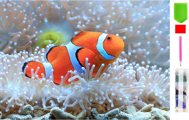 RealG RC-K-144 Diamantmalerei-Set 5D, 20 x 30 cm, Nemo