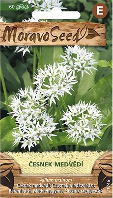 neuvedené Bärlauch MoravoSeed
