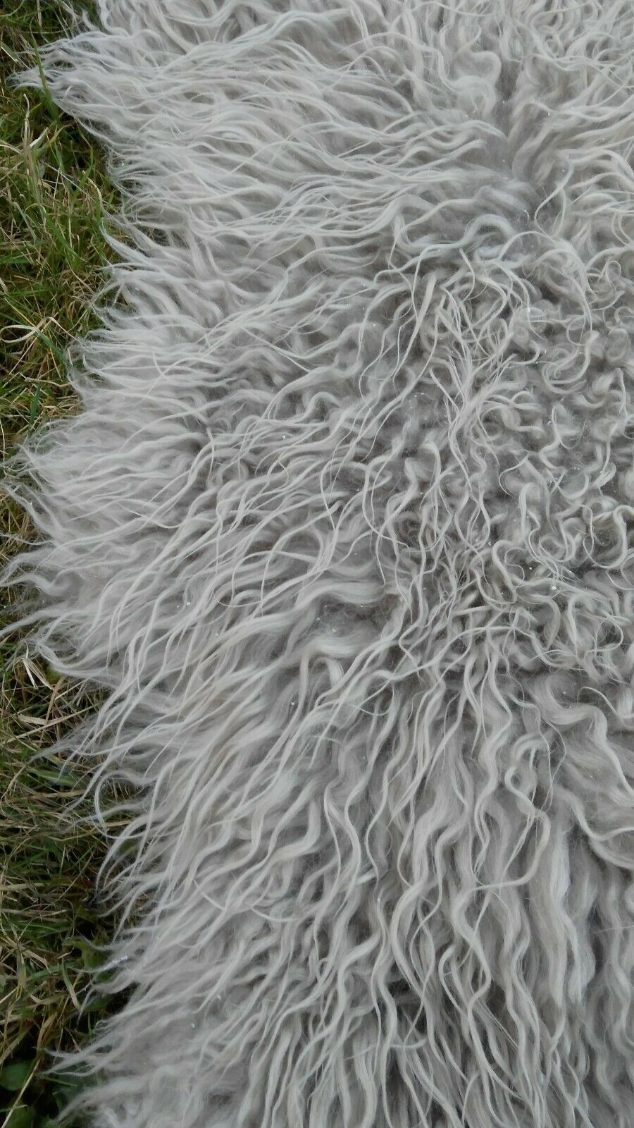 Peau de mouton islandaise XXXXL