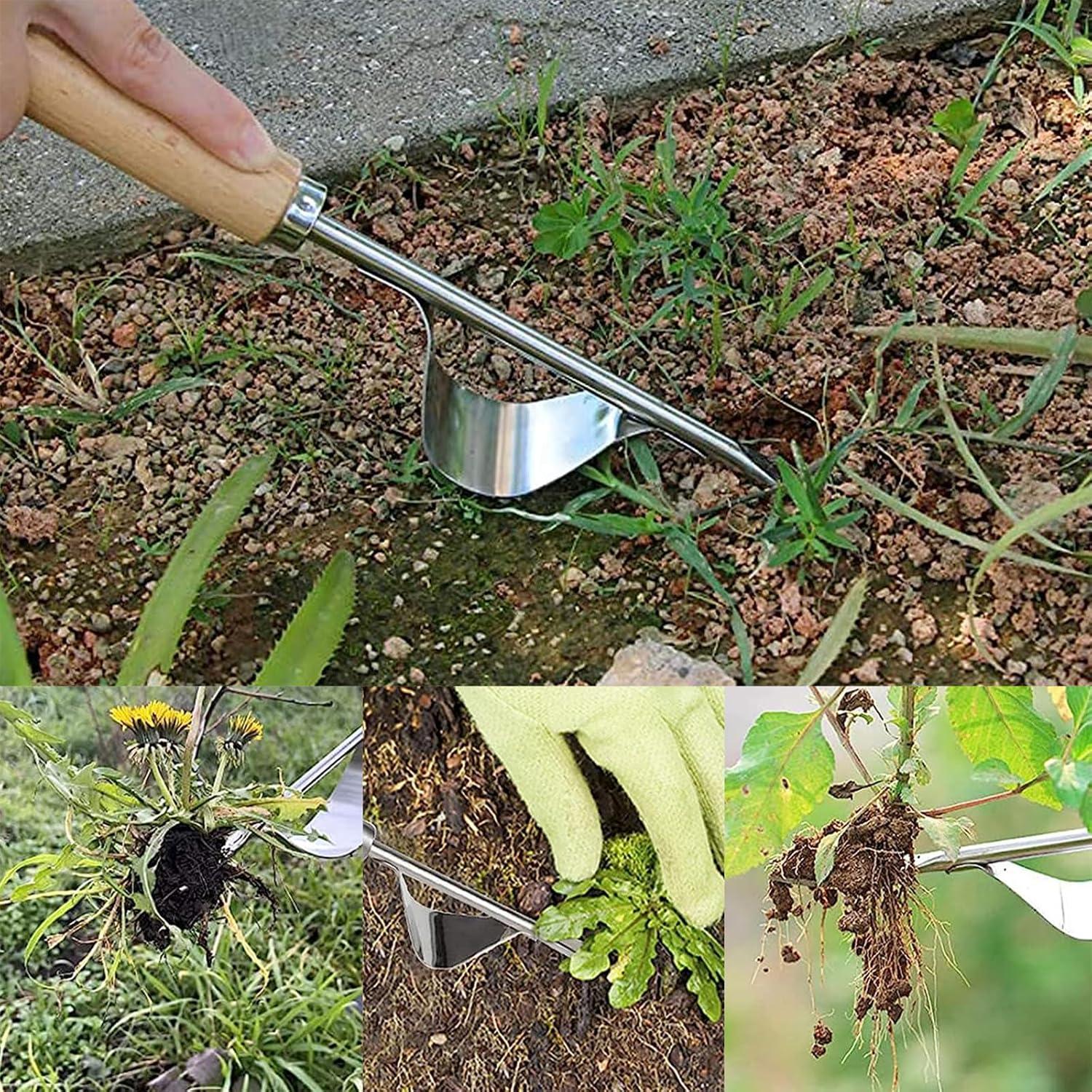 Markenlos Unkrautstecher - Unkrautentferner - Unkrautzieher