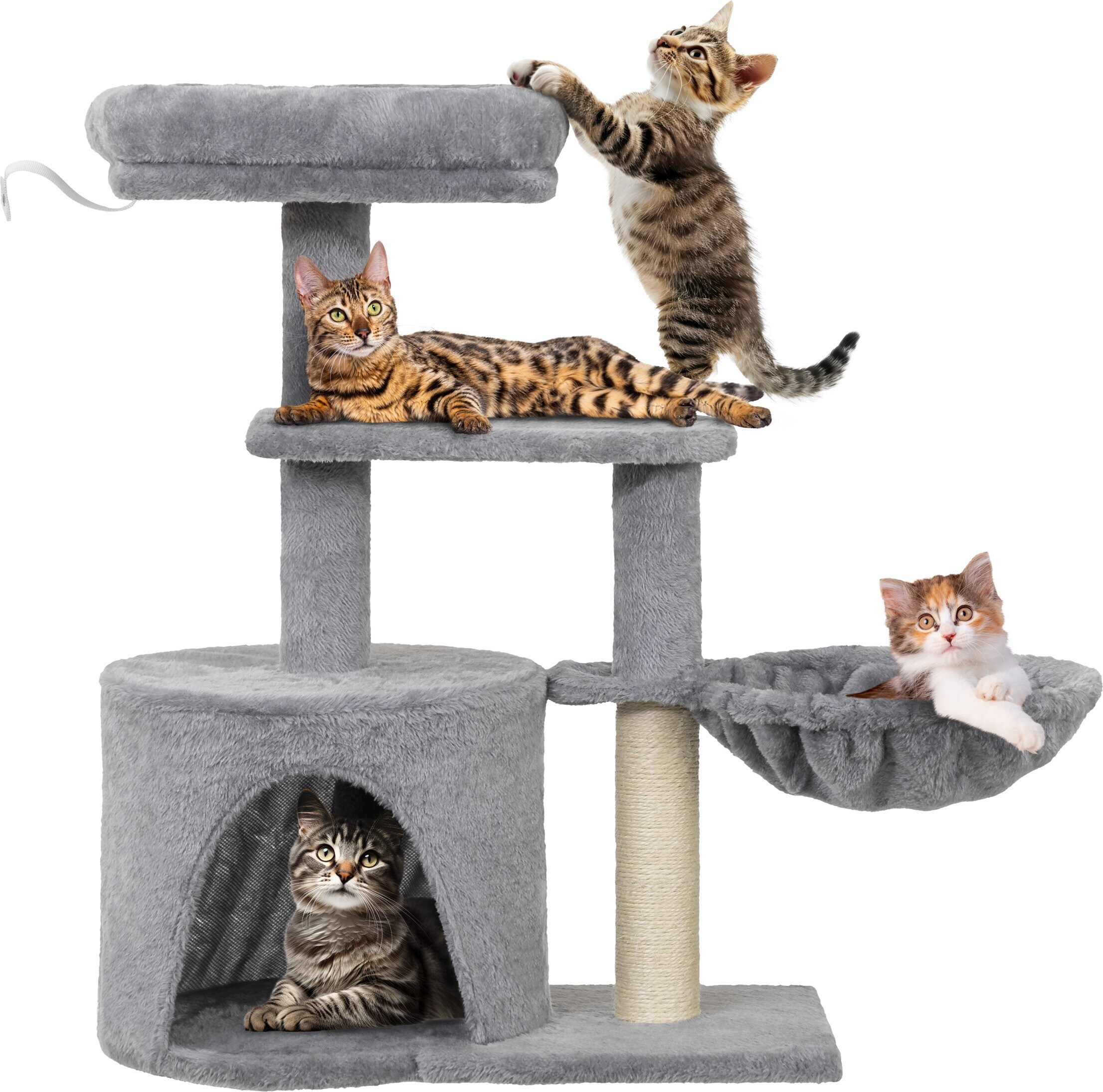 Hobbydog Kratzbaum großer Kratzbaum Kratzbäume für Katze Kratzbaum DREAM DDRSZA1