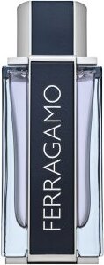 Salvatore Ferragamo Ferragamo toaletná voda pre mužov 100 ml