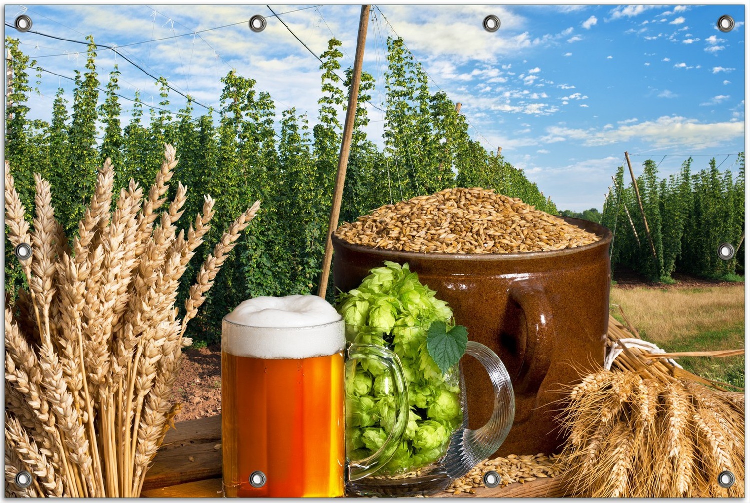 Wallario Outdoor-Poster für Garten oder Balkon, Motiv Frisch gezapftes Bier, Hopfen und Malz, in ca. 80 x 120 cm goban5339-80120