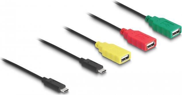 DELOCK 4-portový USB 2.0 káblový rozbočovač USB typu C na 3x USB-A Bu.