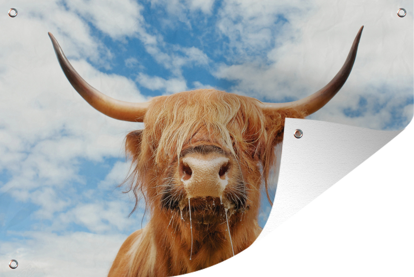 MuchoWow® 90x60 cm Outdoor-Poster Gartendeko Sichtschutz Garten Poster für den Garten Schottischer Highlander - Kuhkopf - Hörner 133|3748640