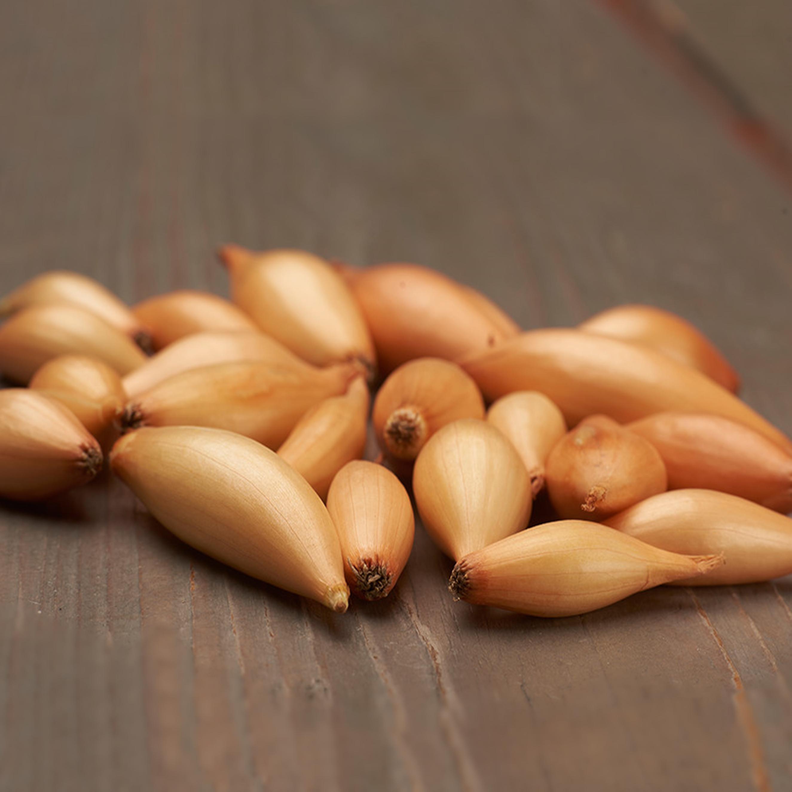 Benex Steckzwiebel gelb lecker Steckzwiebel Zwiebel Birnformige Größe 8-21 0,5 Kg