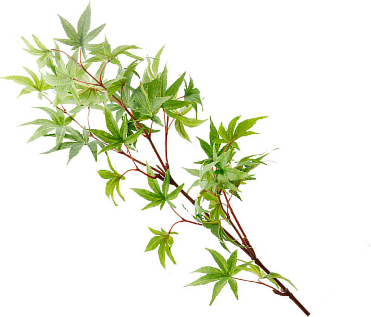 Künstlicher Ahornblätterzweig,Künstlicher Ahornblätterzweig,Simulierter Ahornblätterzweig,Simulierter Ahornstamm,Künstliche Ahornstämme Dekor,Simulierter Ahornzweig