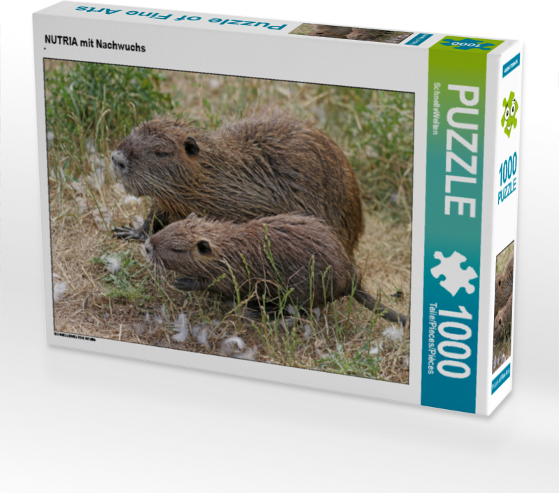 CALVENDO Puzzle NUTRIA mit Nachwuchs 1000 Teile Puzzle quer | 1000 Teile Lege-Größe 64x48cm Foto-Puzzle für glückliche Stunden