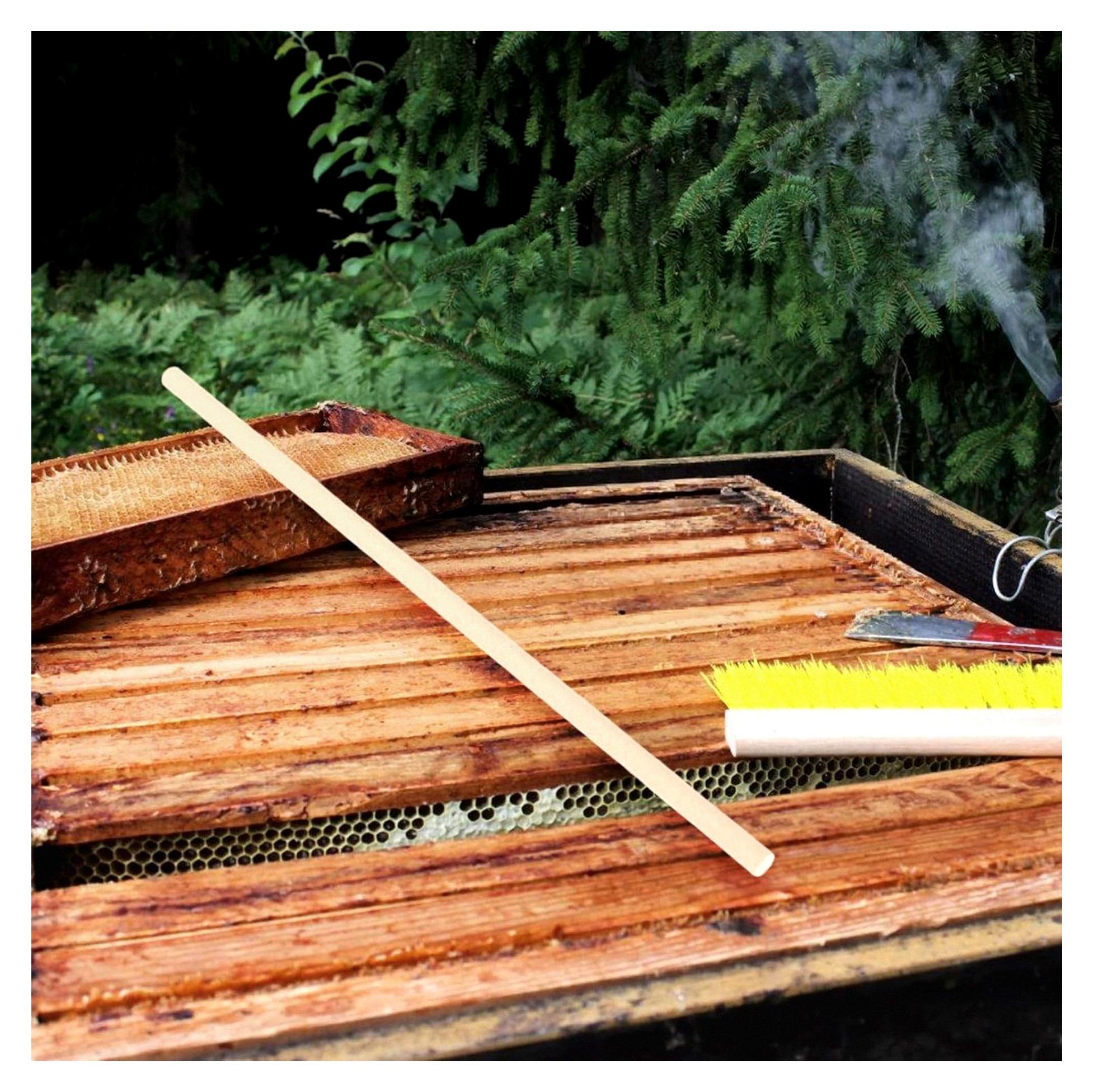 Markenlos Bienenröhren 100 Stück Natürliche Niströhren 6mm X 195mm Ersatzröhren für Imkereibedarf Bienenhäuser für Balkon und Garten