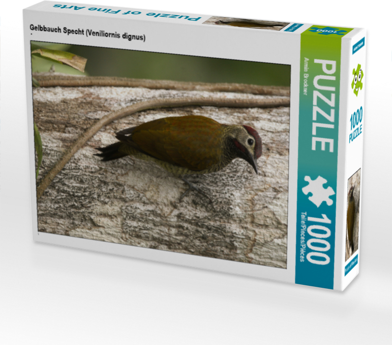 CALVENDO Puzzle Gelbbauch Specht (Veniliornis dignus) | 1000 Teile Lege-Größe 64x48cm Foto-Puzzle für glückliche Stunden