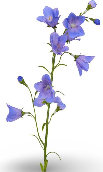 Top Art Warentuin Producten SCAN8714617122476