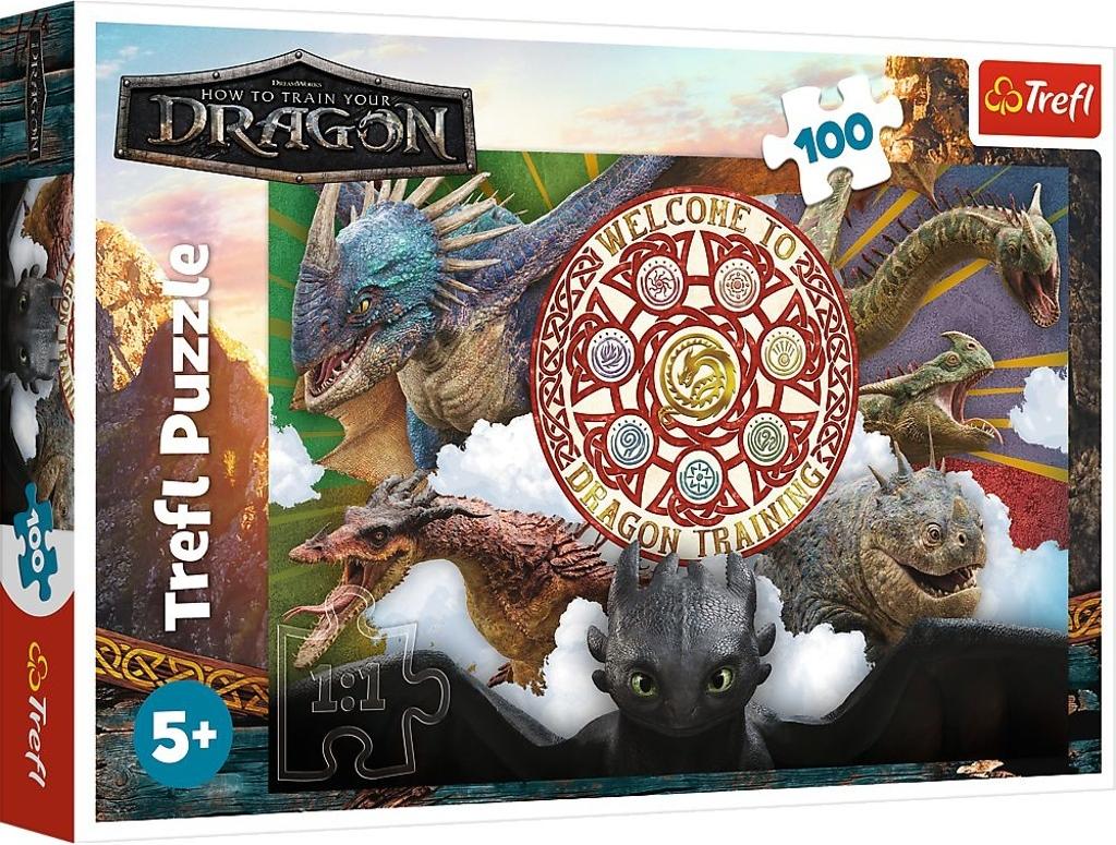 100 Puzzles Drachen in Aktion Drache 16524