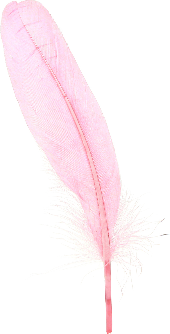 Viana Rosa Gänsefedern Basteln 18-20cm 20g x2 für Deko, 2 Stück 18733
