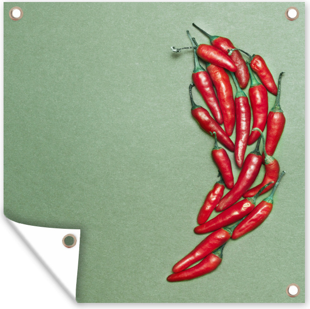 MuchoWow® 100x100 cm Outdoor-Poster Gartendeko Sichtschutz Garten Poster für den Garten Chilischoten bilden einen Chili 133|29031630