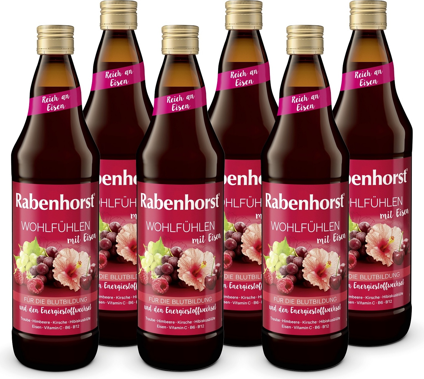 Haus Rabenhorst O. Lauffs RABENHORST Wohlfühlen mit Eisen 6er Pack (6 x 700 ml) 300001