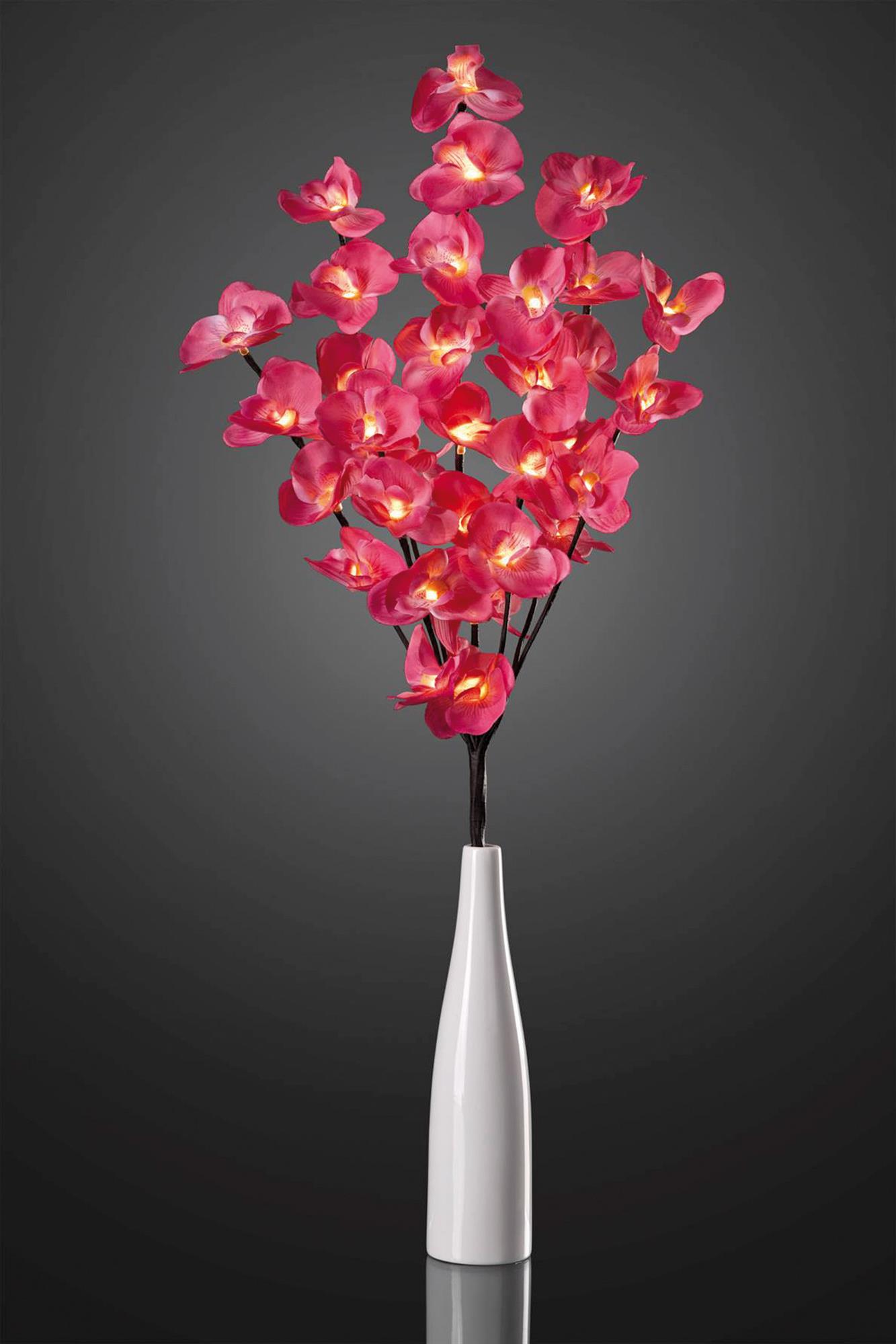 Dekovase Hellum LED-Orchidee mit roten Blüten u