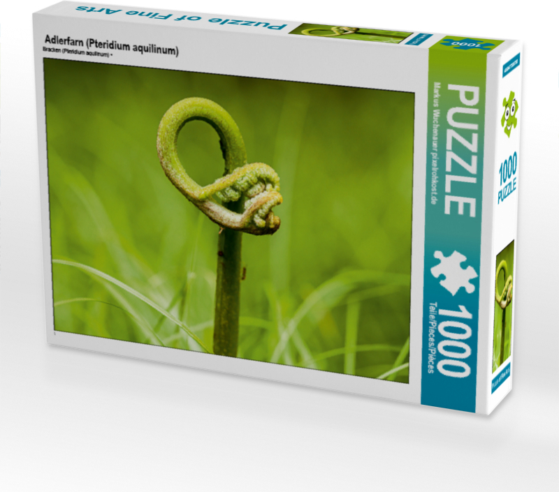 CALVENDO Puzzle Adlerfarn (Pteridium aquilinum) | 1000 Teile Lege-Größe 64x48cm Foto-Puzzle für glückliche Stunden