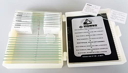 Konus Italia Group Konus Preparate Set Bacteria Simple Organisms 10 Stk. 434877