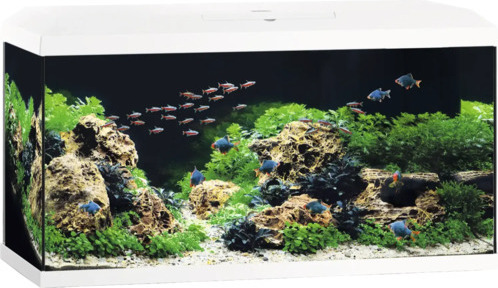 JUWEL Aquarien Aquarium JUWEL Primo 110 LED 2.0 inkl. Abdeckung, Bioflow Super Filter, Eccoflow Pumpe, AquaHeat Pro, NovoLux LED ca. 81