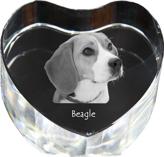 Beagle - Hundebild im Kristall, Kristallherz, einzigartiger Bilderrahmen der Marke Art-Dog