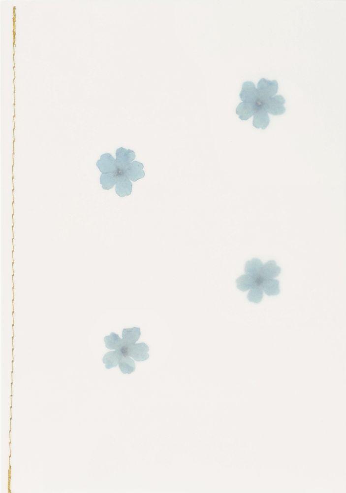 räder Genähte Transparentpapierkarte "Blüten" 18247