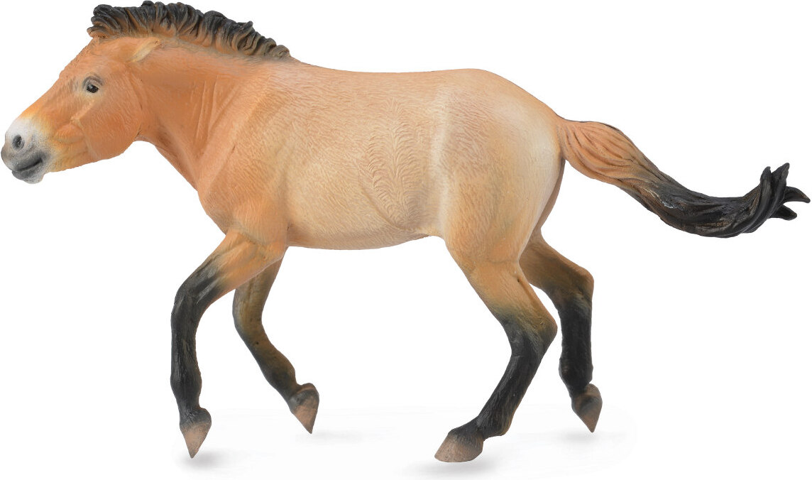 COLLECTA Przewalski-Hengst – (XL) 3388602