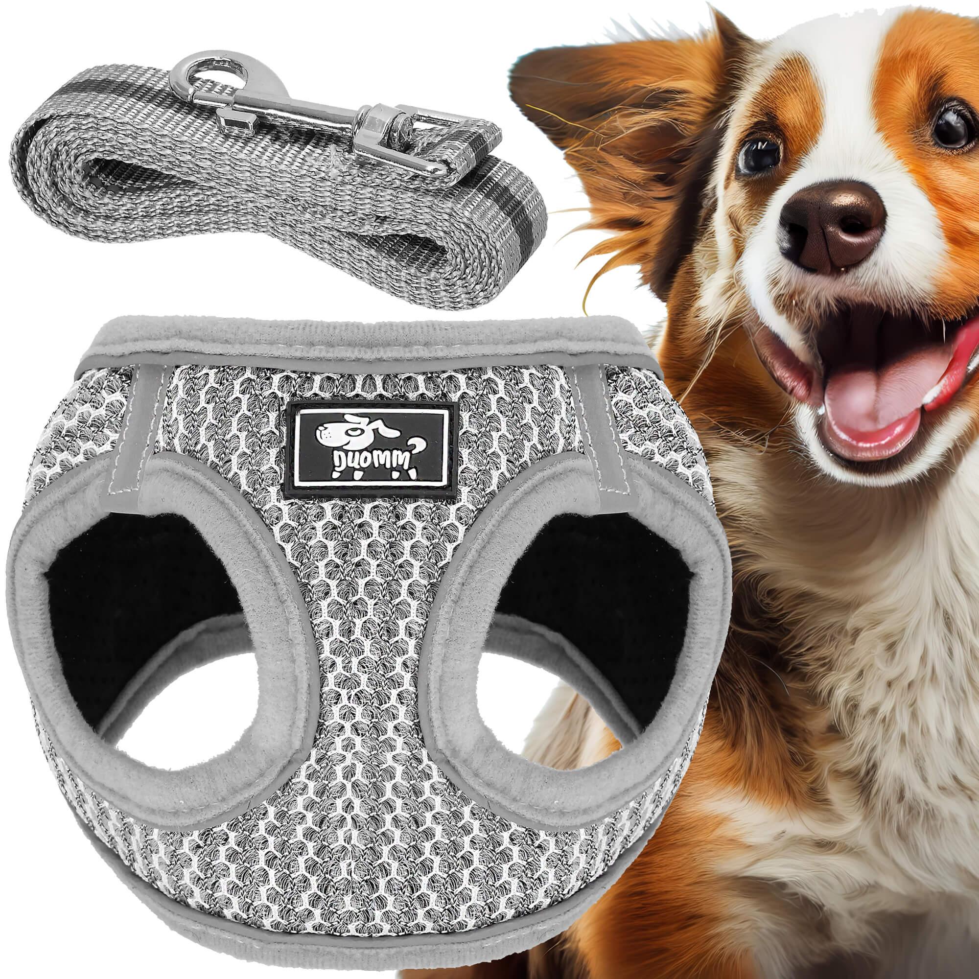 Springos® Hundegeschirr Brustgeschirr mit Leine L Gepolstert für Hunde Katzen Doppelverschluss Einfach Anzulegen Hundeleine mit Karabinerhaken PA0238