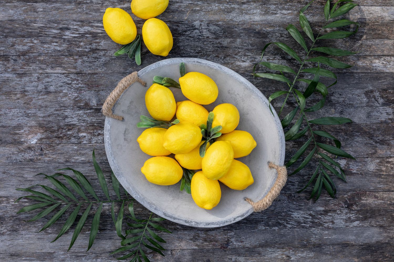 Deko Zitrone Figur Frucht Zitronen Täuschend Echt Gelb Obst 8er Set 