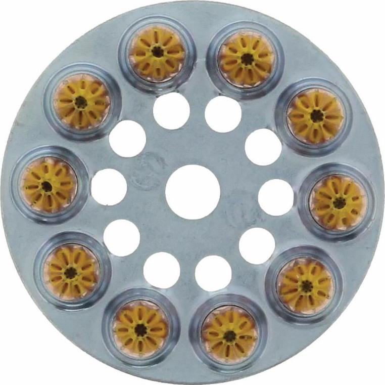 Box von 10 Scheiben mit 10 Pulverladungen 6.3/10 mittel Gelb SPIT - 031700