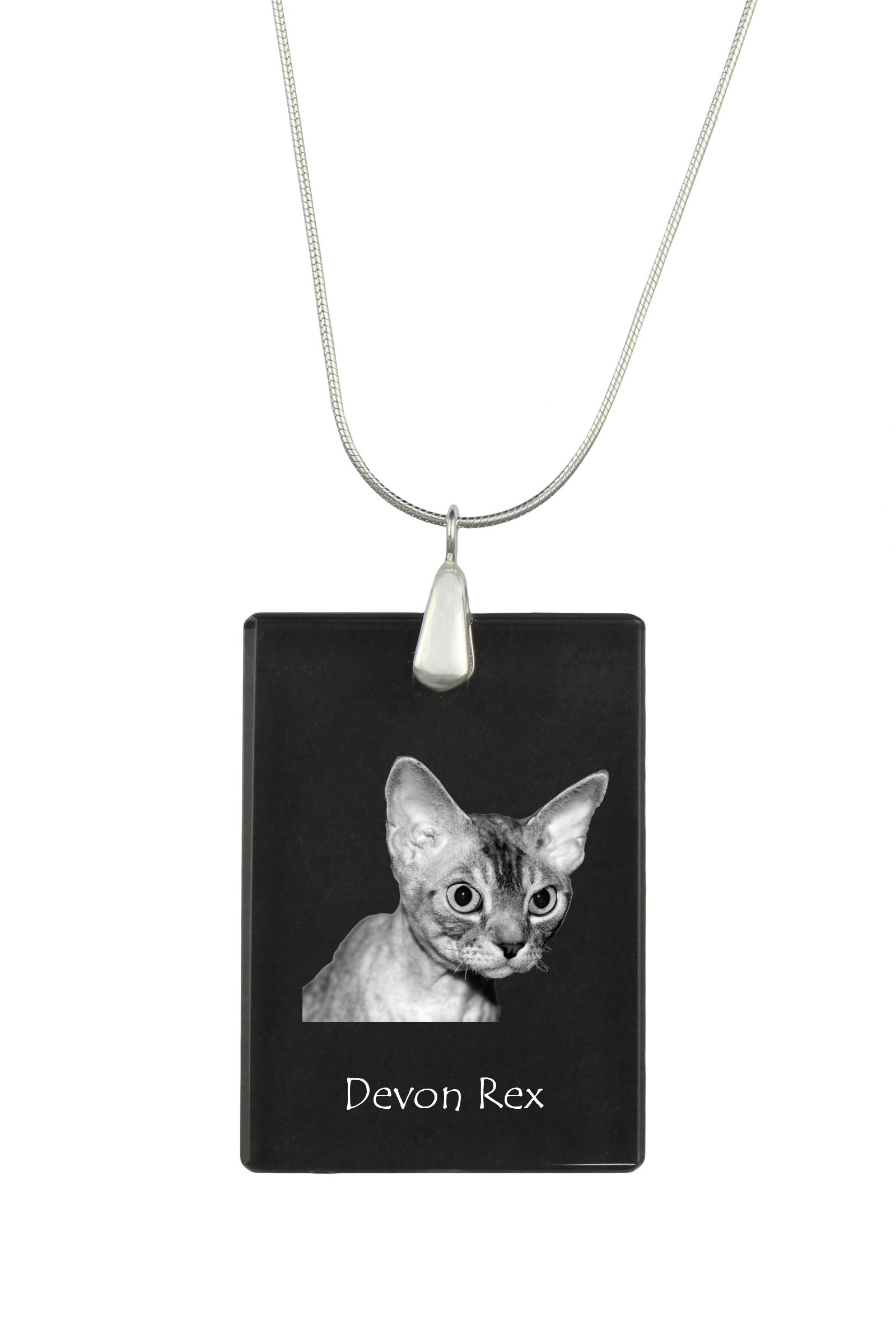Devon Rex - Crystal pendant with cat, silver necklace with photo, personalised pendant by Art-Dog brand