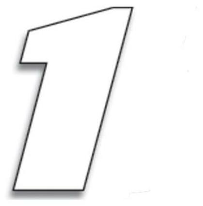 Blackbird Rennnummern Weiss 1