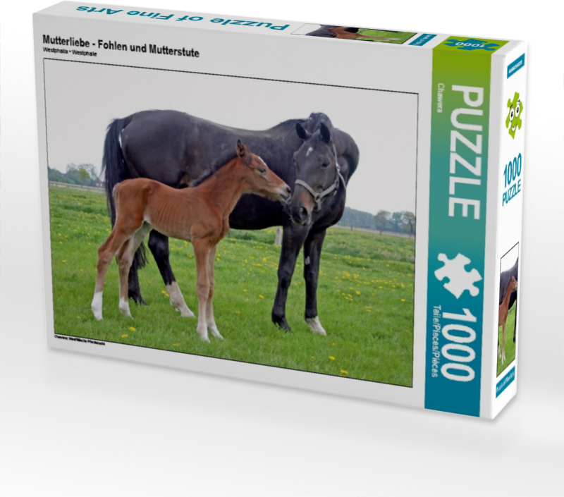 Calvendo Mutterliebe - Fohlen und Mutterstute 1000 Teile Puzzle quer 640x480mm, CALVENDO; 7321943